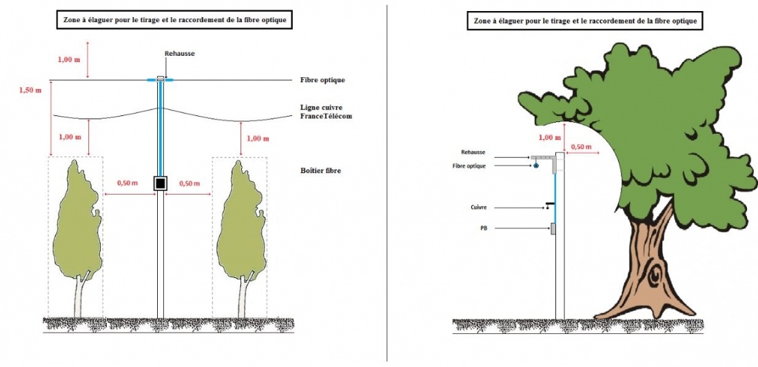 Distances élagage